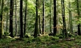 My Grief My Way - Development of an acceptance based bereavement support website to enhance coping and quality of life after bereavement.